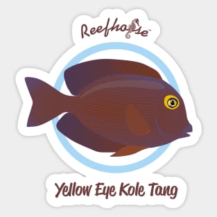 Yellow Eye Kole Tang Sticker